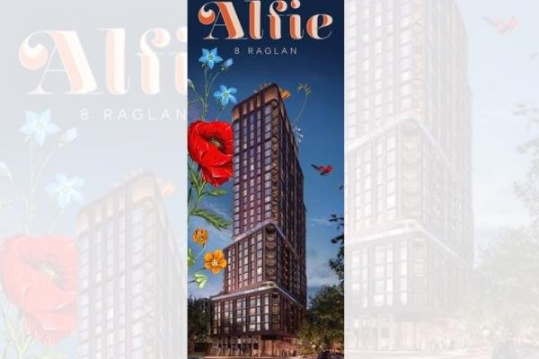 Alfie Condos